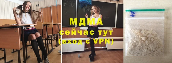 шишки Бородино
