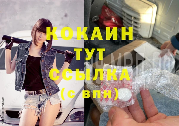 шишки Бородино