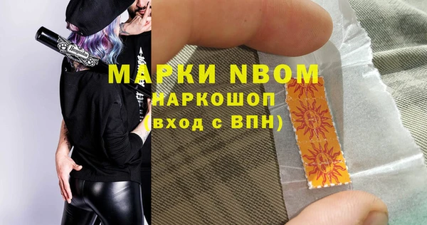 шишки Бородино