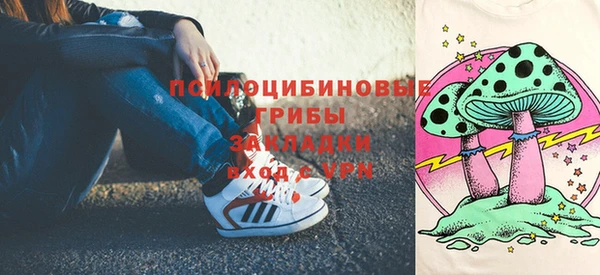 шишки Бородино
