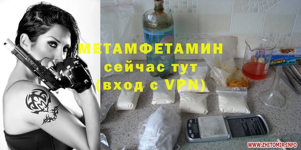 шишки Бородино